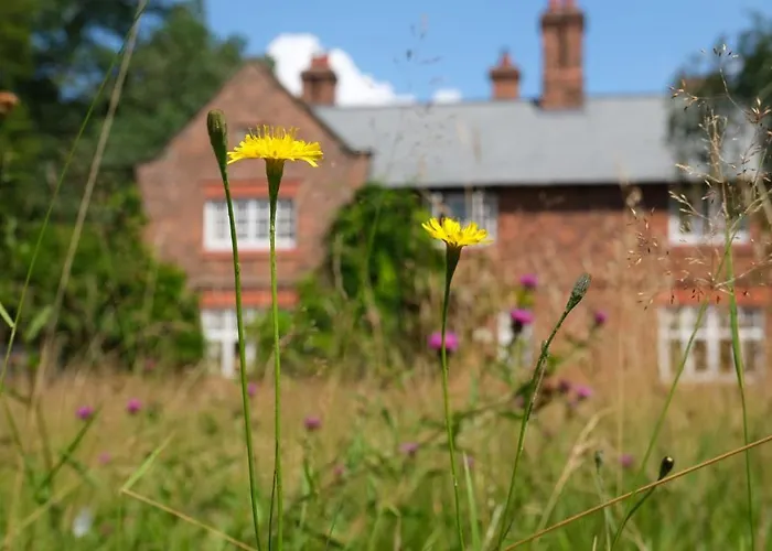 Beech Hill B&B