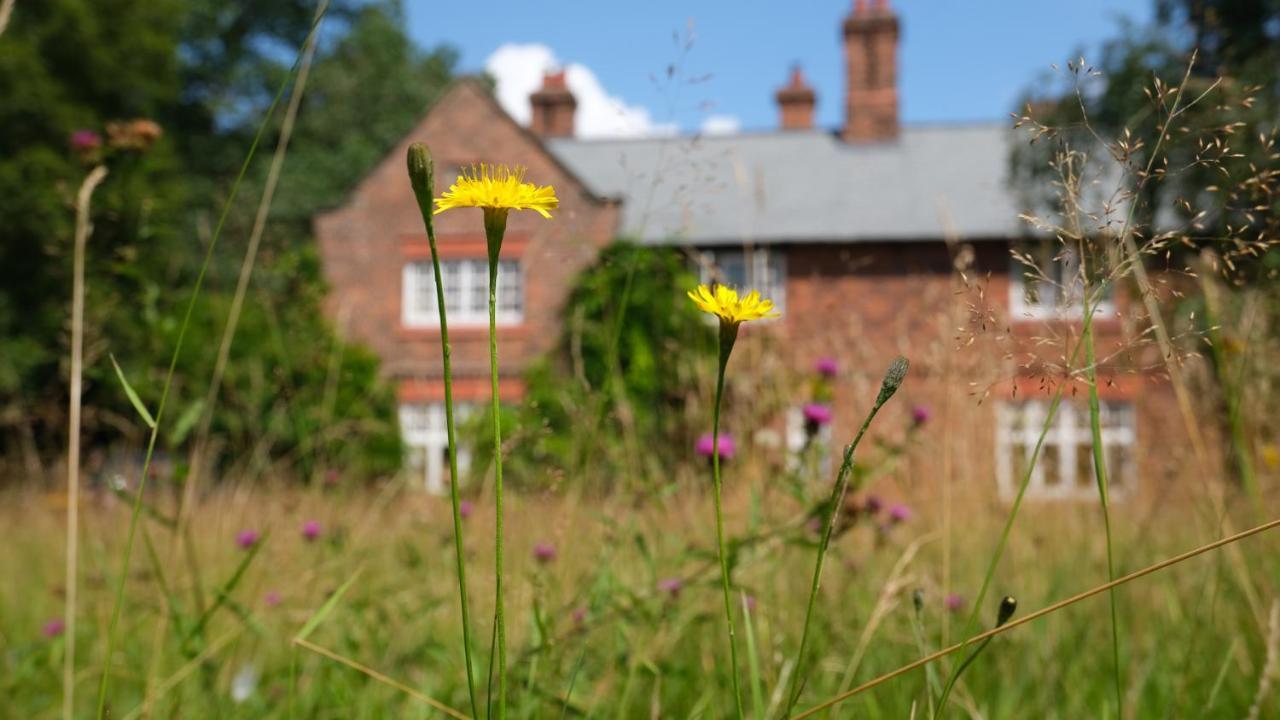 Beech Hill