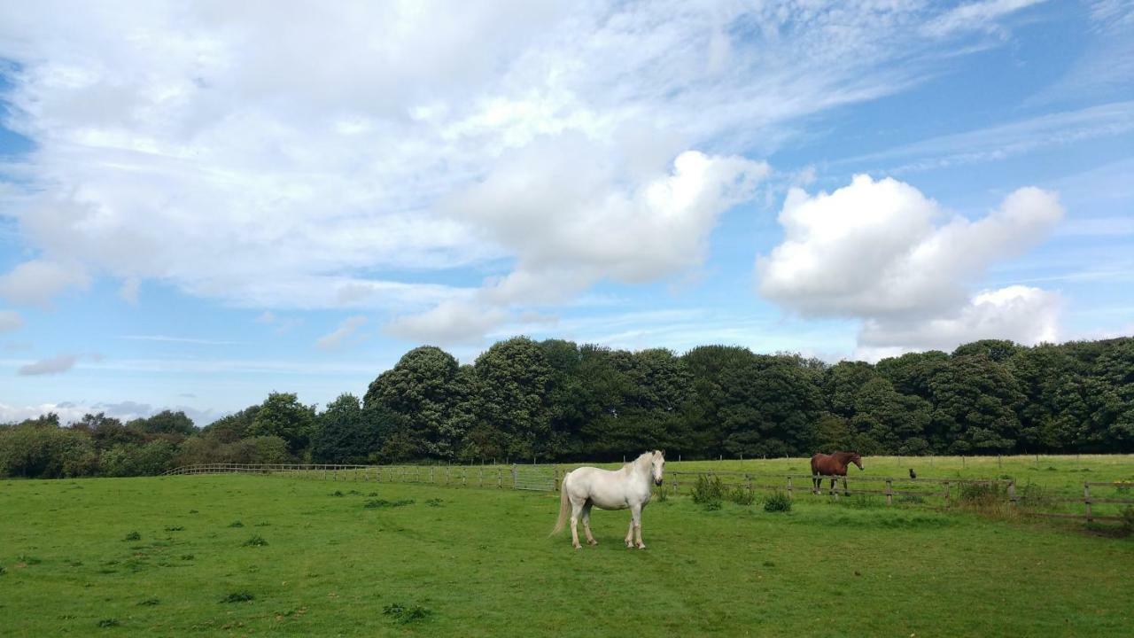 Beech Hill Weaverham